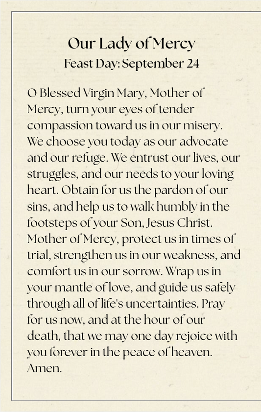 Prayer Card Set of 7 | Popular Marian Titles